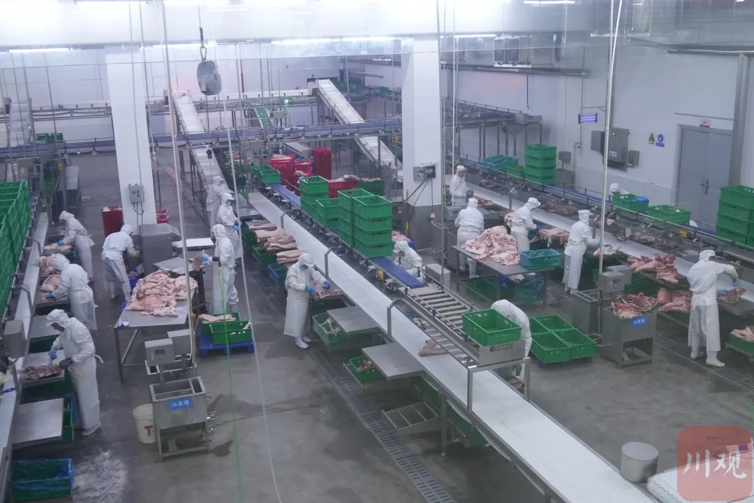 6408.webp.jpg 6408.webp.jpg